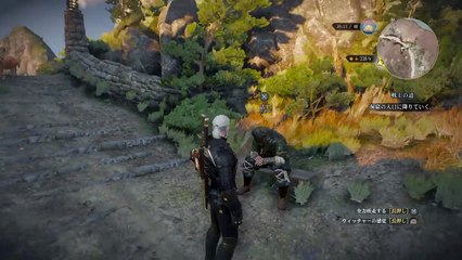 ウィッチャー３　経験値無限取得の裏技