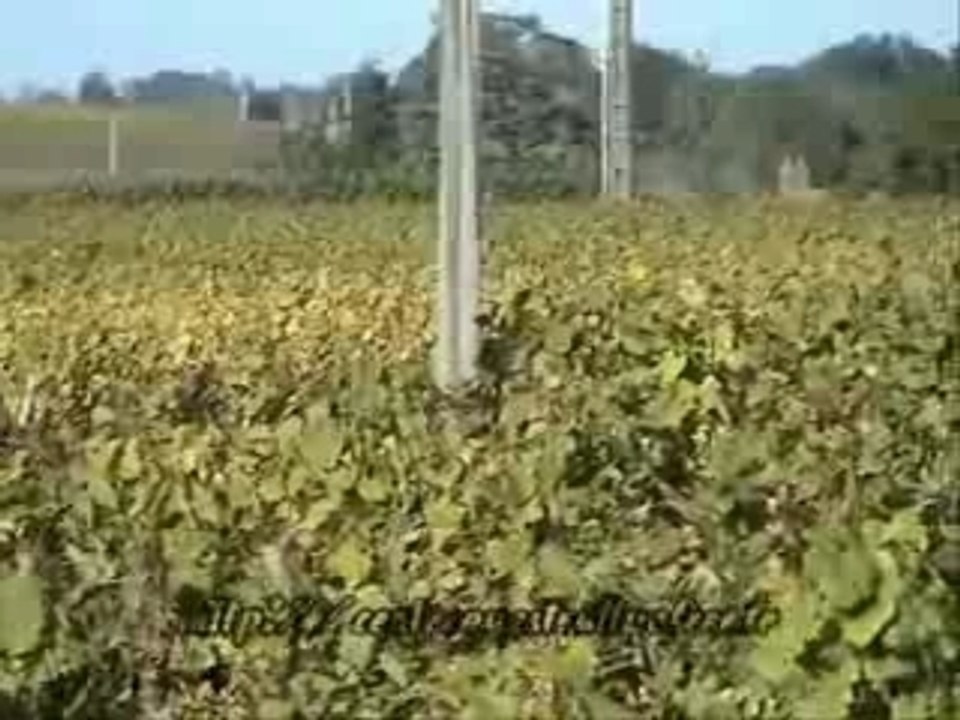 Rallye Vignoble Sevre et Maine