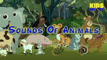 Animales para niños para Niños Aprender vivero rimas canción sonar Animal |
