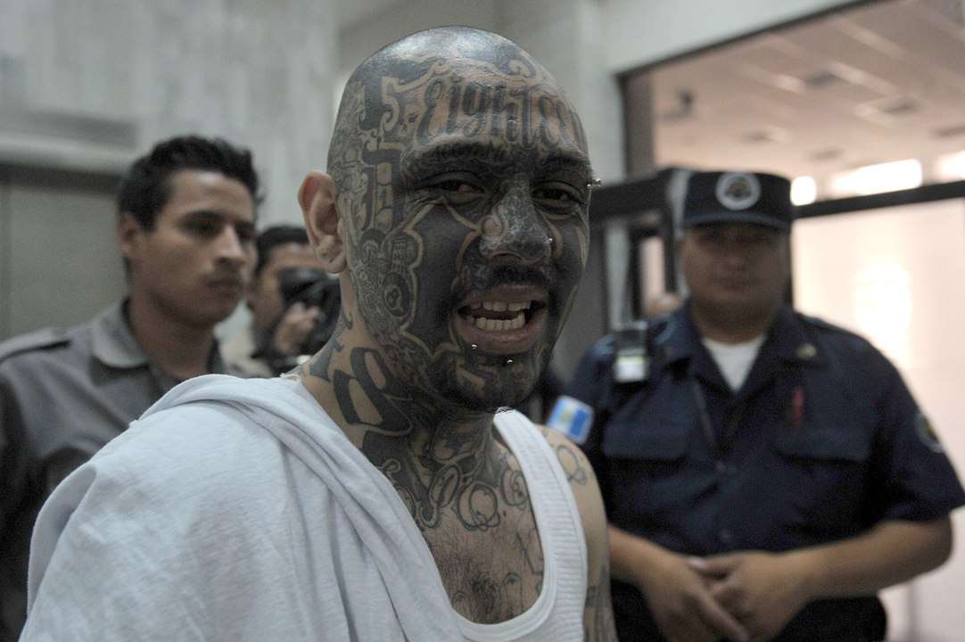 MS 13 - Mara Salvatrucha Gang - video Dailymotion