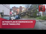 Fuertes lluvias causan destrozos en Tamaulipas