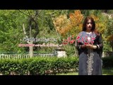 Pashto New Hd Full Album 2017 Baran Soni Umar Vol 1 Video 9