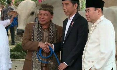 Jokowi Sebar Sapi Kurban ke 34 Provinsi Indonesia