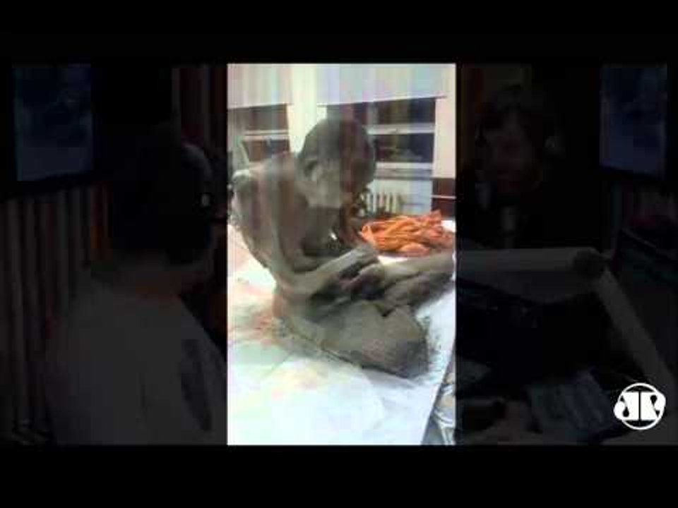 Aqui na Pan: budistas acreditam que monge mumificado está vivo