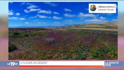 Un député vénézuelien profite de sa rencontre avec le Pape pour... faire sa demande en mariage ! Regardez