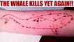 Blue whale: 19 year old hangs himself from tree in Pondicherry | Oneindia News