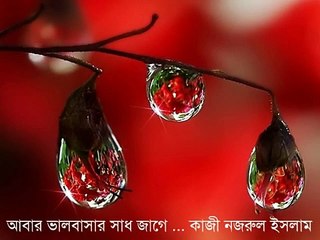 Abar bhalobasher shadh jage -Kazi Nazrul (Instrumental) by Bappa