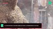 Un homme se recouvre de 100.000 abeilles pour la promotion d'un film (vidéo)
