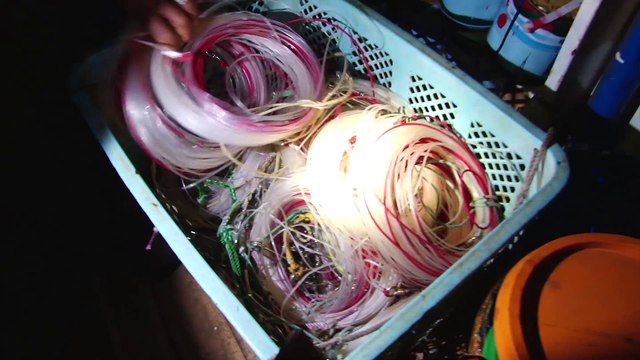 Pêche illégale aux îles Galapagos