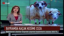 Bayramda kaçak kesime ceza yağacak (Haber 31 08 2017)