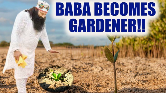 Ram Rahim verdict: Babaji will plant saplings in jail now | Oneindia News