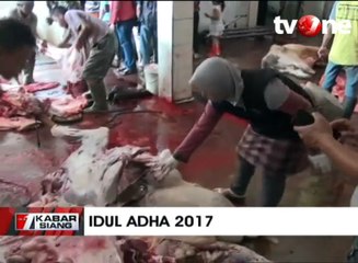 Petugas Temukan Cacing Hati di Sapi Impor