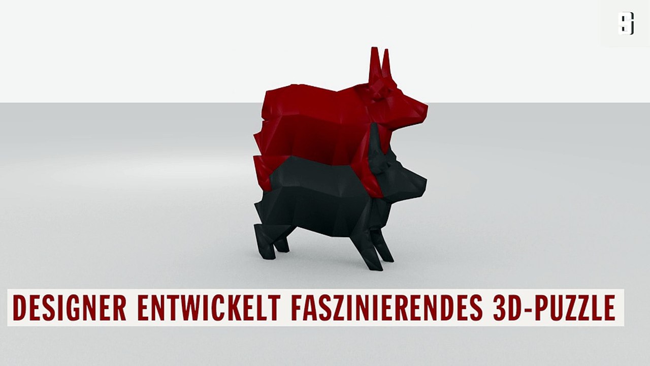 Mathematician designs Escher figures in 3D video