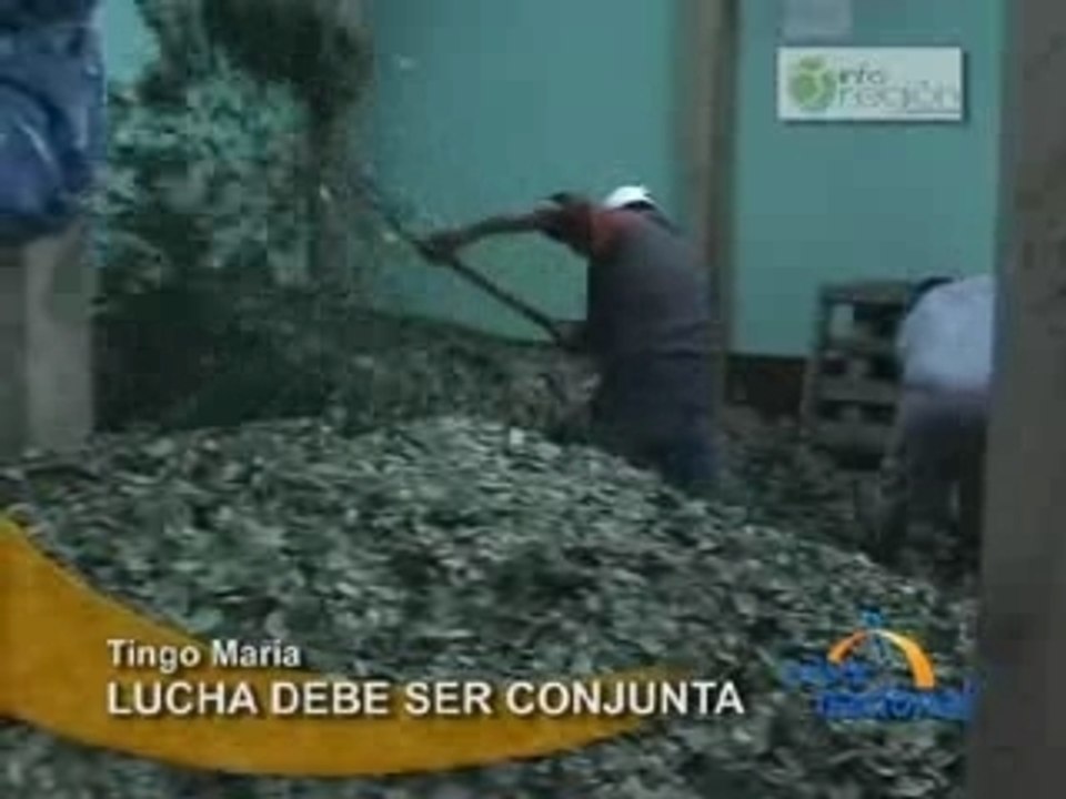 LUCHA DEBE SER CONJUNTA - TINGO MARÍA