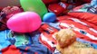 Oeuf géant ouverture patrouille patte jouets vidéo Surprise surprise Nickelodeon
