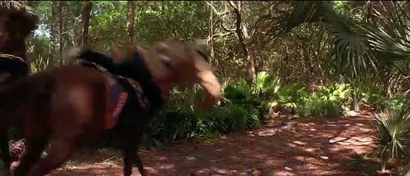 Livre tue scène le le le le la Jungle 1994 shere khan wilkins