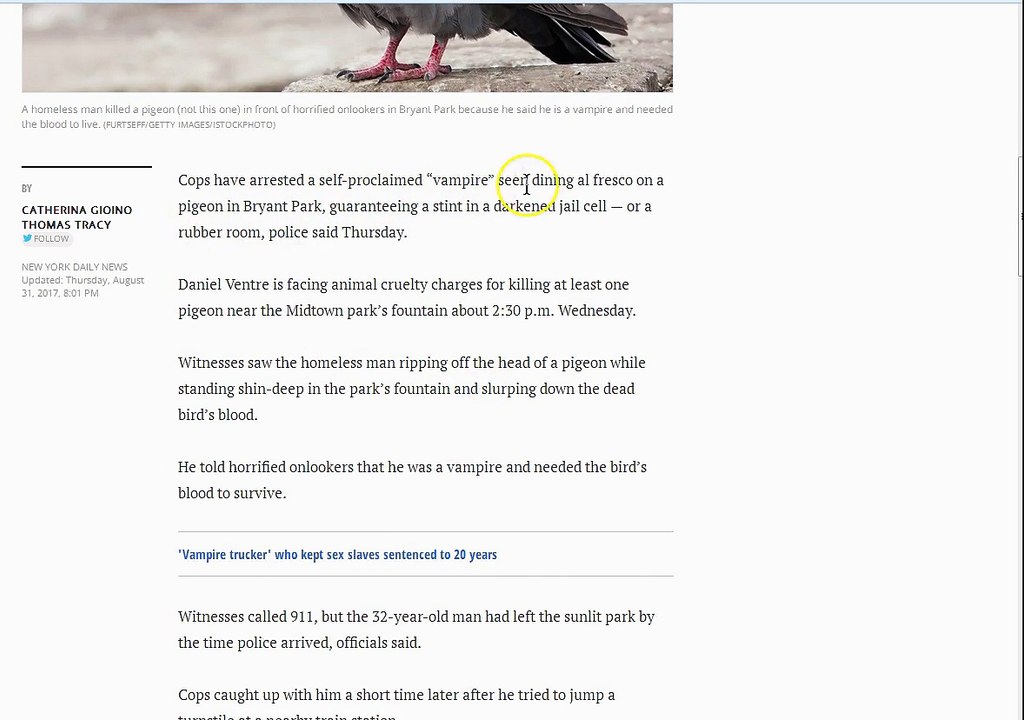Man Rips Head of Pigeon, Drinks Blood in New York Park!