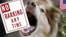 Animals: Oregon Court ordered dog owners asked to be debark their dogs - TomoNews