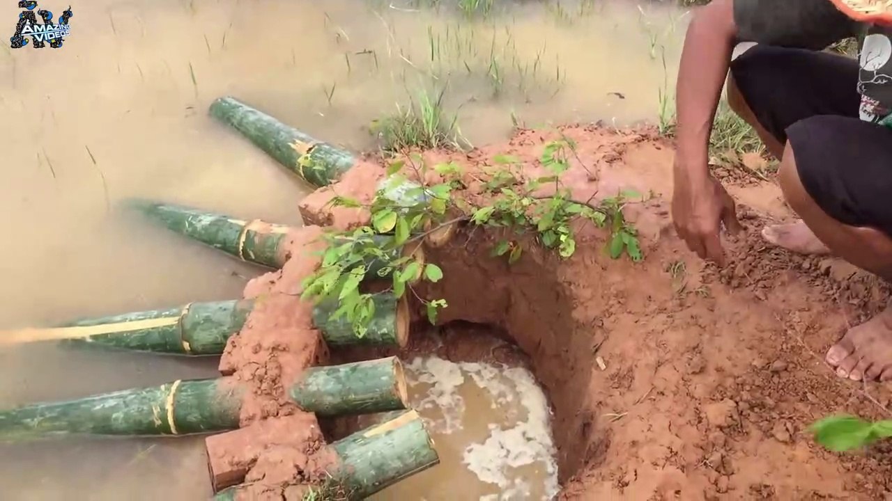 Un incroyable piège à poissons avec du bambou qui fonctionne parfaitement