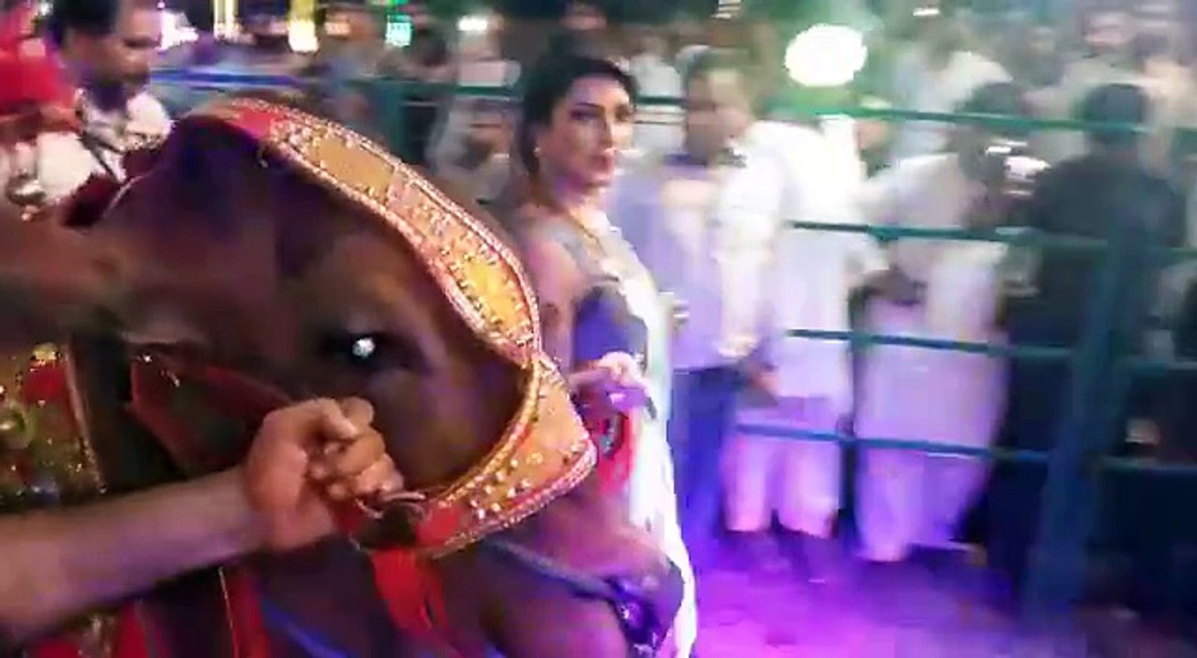 پاکستان کی مویشی منڈیوں میں سنت ابراہیم کے ساتھ ھونے والا بے ھودہ مذاق. اللہّ...