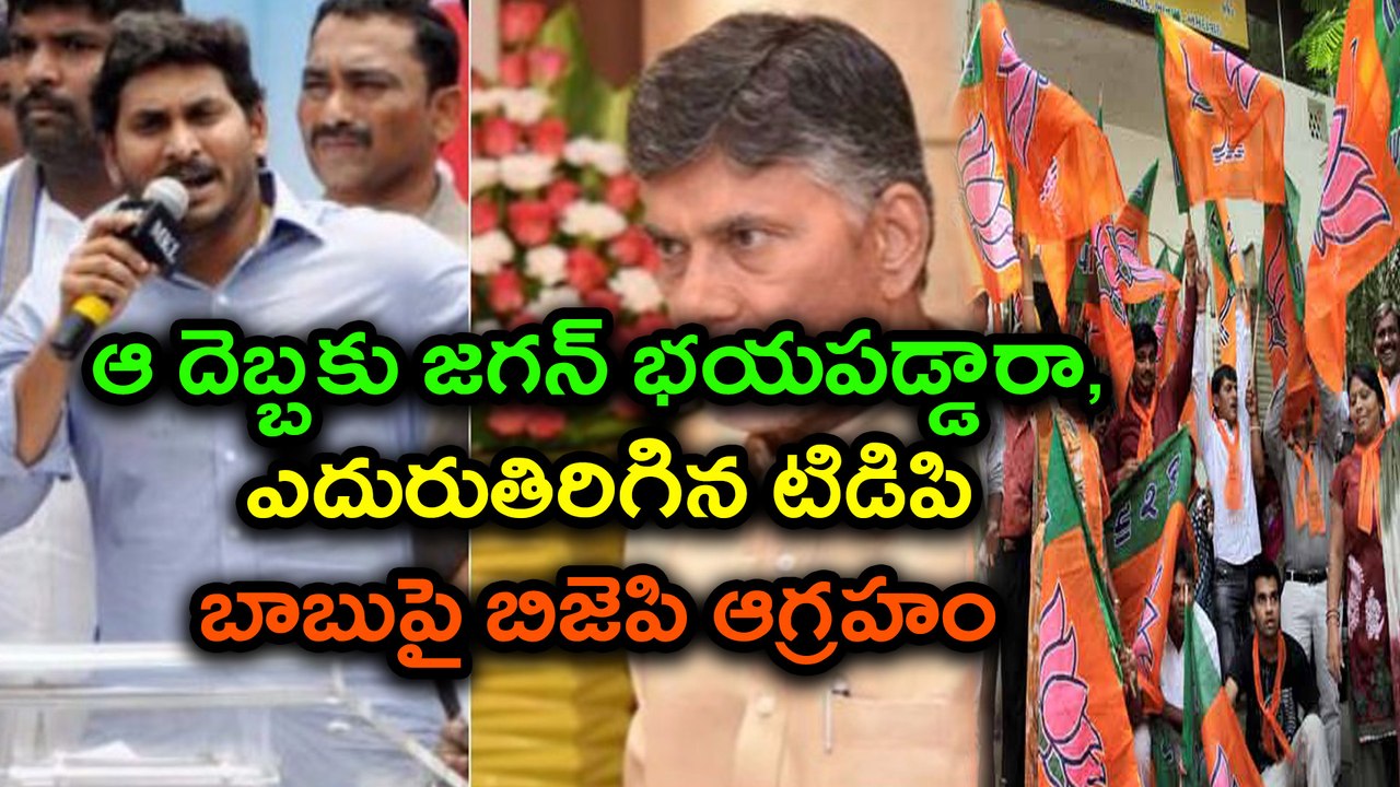 BJP Angry On Chandrababu Over Kakinada Municipal Election Results