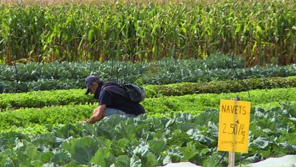 Les circuits-courts ont la côte chez les consommateurs