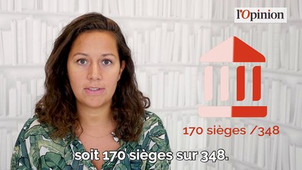 Les sénatoriales, cette élection pas comme les autres