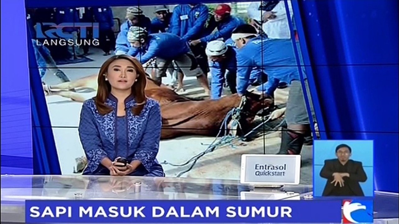 Seekor Sapi Masuk ke Dalam Sumur