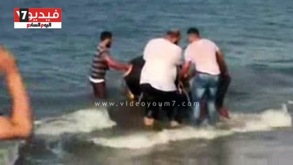 إنقاذ "بقرة" من الغرق ببحر بورسعيد قبل التضحية بها