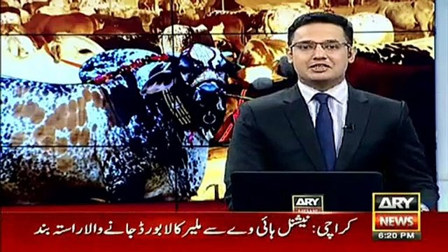 Sheikh Rasheed buys two camels for Eid ul Azha