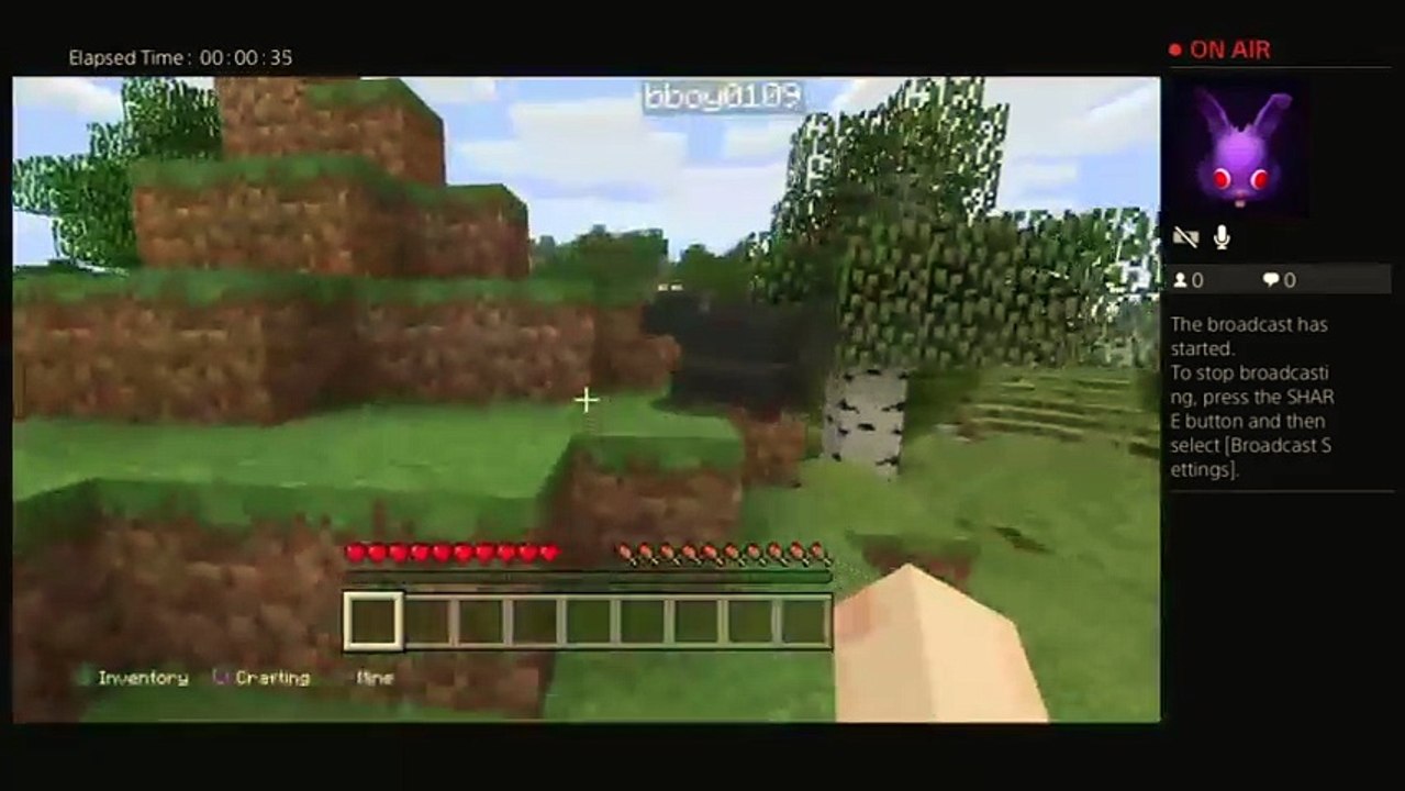 Minecraft live sream (79)