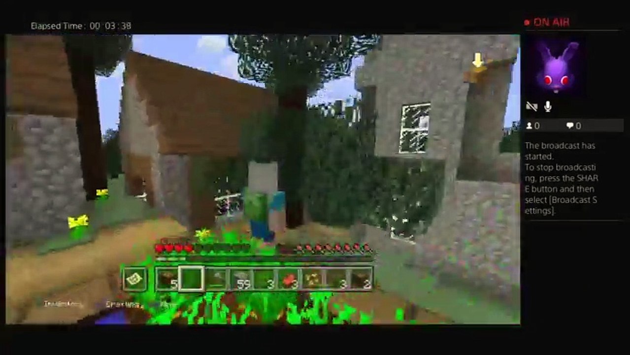 Minecraft live sream (80)