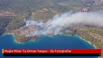 Muğla Milas' Ta Orman Yangını - Ek Fotoğraflar