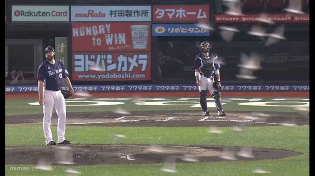 Dans ce match de base-ball japonais, ce sont les oiseaux qui ont gagné