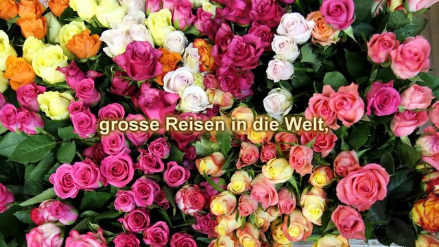 Alles Gute zum Geburtstag!