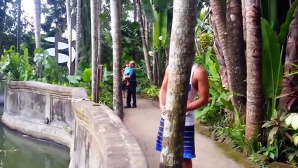 Orangutan Plays Catch With Guy At The Zoo!