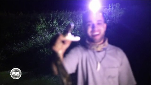 AVANT-PREMIERE - 66 minutes (M6): Un homme prend à pleine main un gigantesque python birman - VIDEO