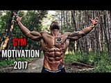 I WILL GO TO THE GYM !❌NEW YEAR 2017❌ - Aesthetic Fitness Motivation