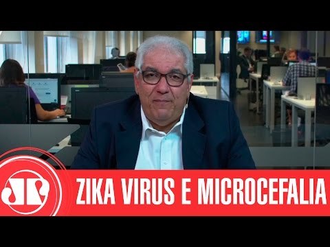 Zika Vírus: entenda porque a microcefalia pode ser grande problema de saúde nos próximos anos | JP