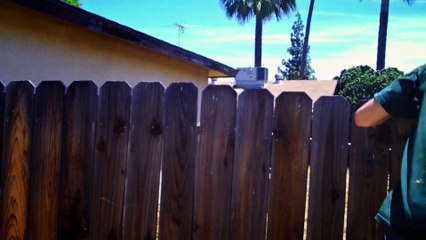 DRAGONSLAYER _trailer