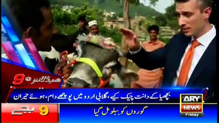 Headlines 2100 1st September 2017