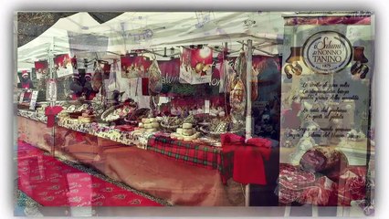 Grazzano Visconti  03 -12 -2016