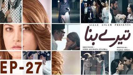 Tere Bina - Episode 27 | Har Pal Geo