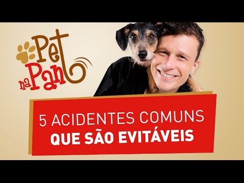 Pet na Pan #01 - Cinco acidentes que você pode evitar que aconteça com seu pet | Jovem Pan