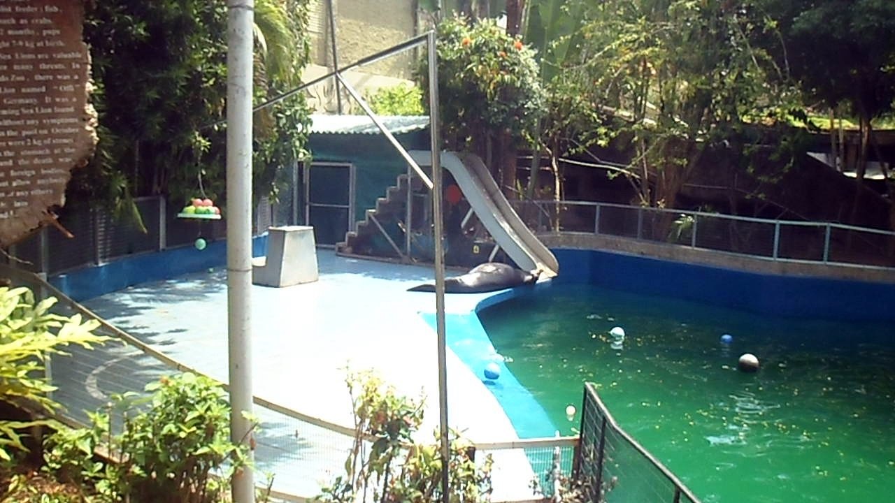 Dehiwala Zoo - Sri Lanka (2017)
