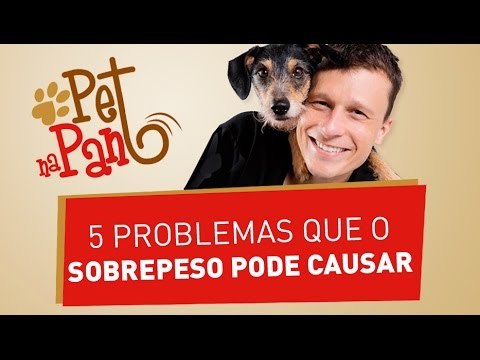 Pet na Pan #02 - Cinco problemas que o sobrepeso pode causar em seu cãozinho | Jovem Pan