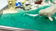 Animales Ártico Playa Niños Niños cinético Aprender aprendizaje nombres oceano arena Mar Limo mini