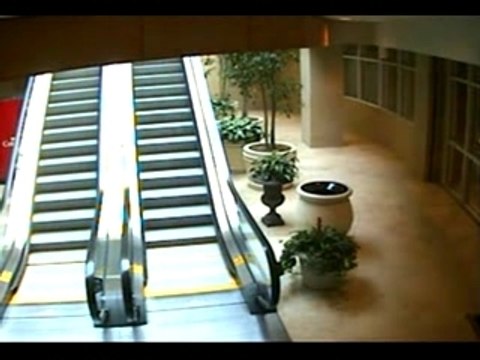 Papy Régis & L'Escalator