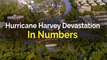 Hurricane Harvey devastation in numbers