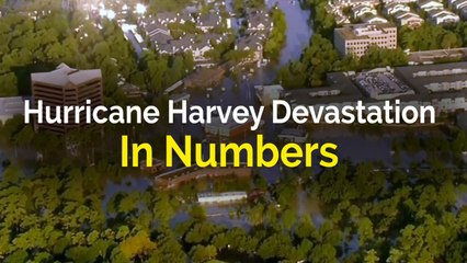 Video herunterladen: Hurricane Harvey devastation in numbers